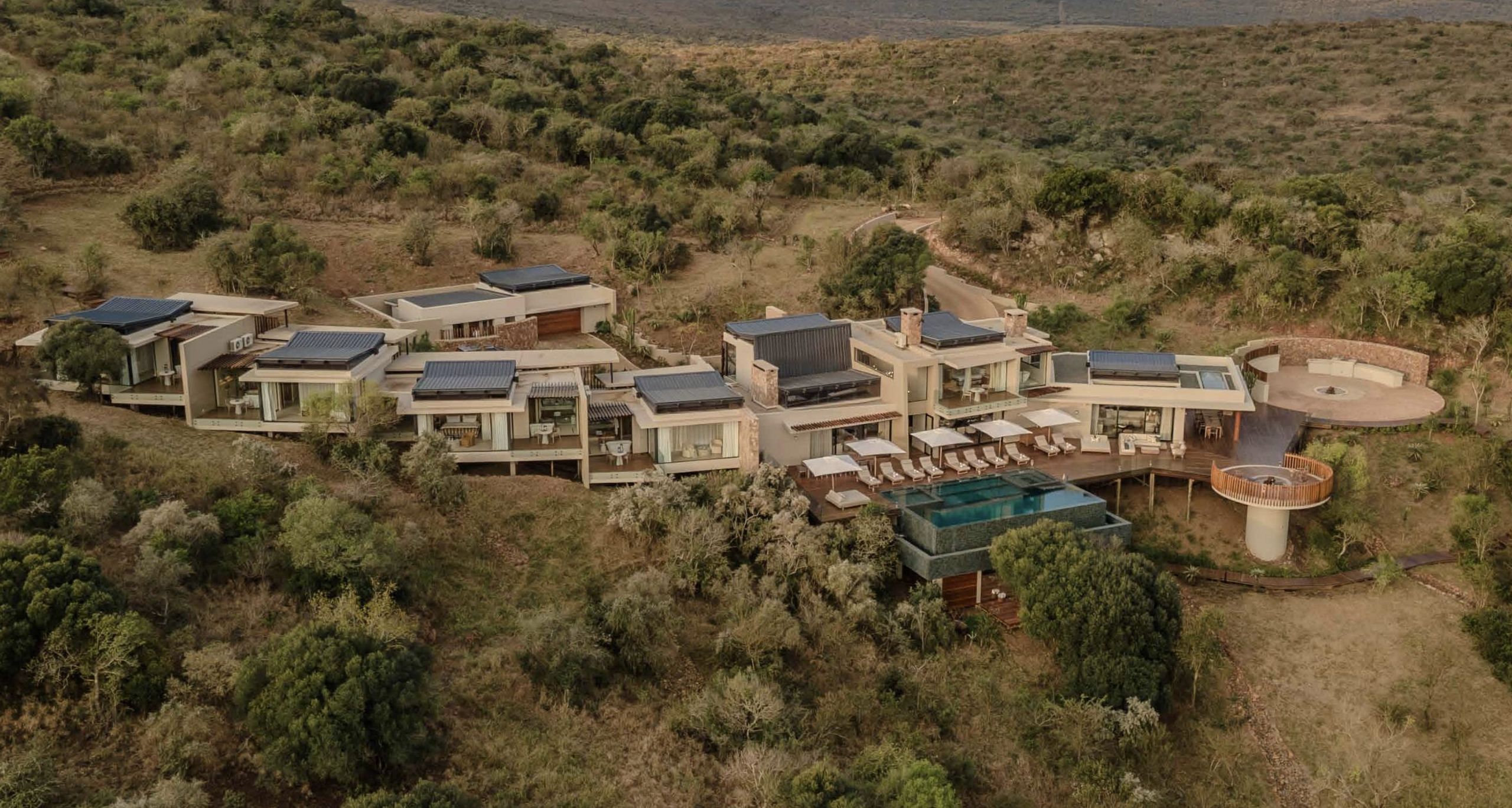 Thanda Safari Private Game Reserve - Image 1