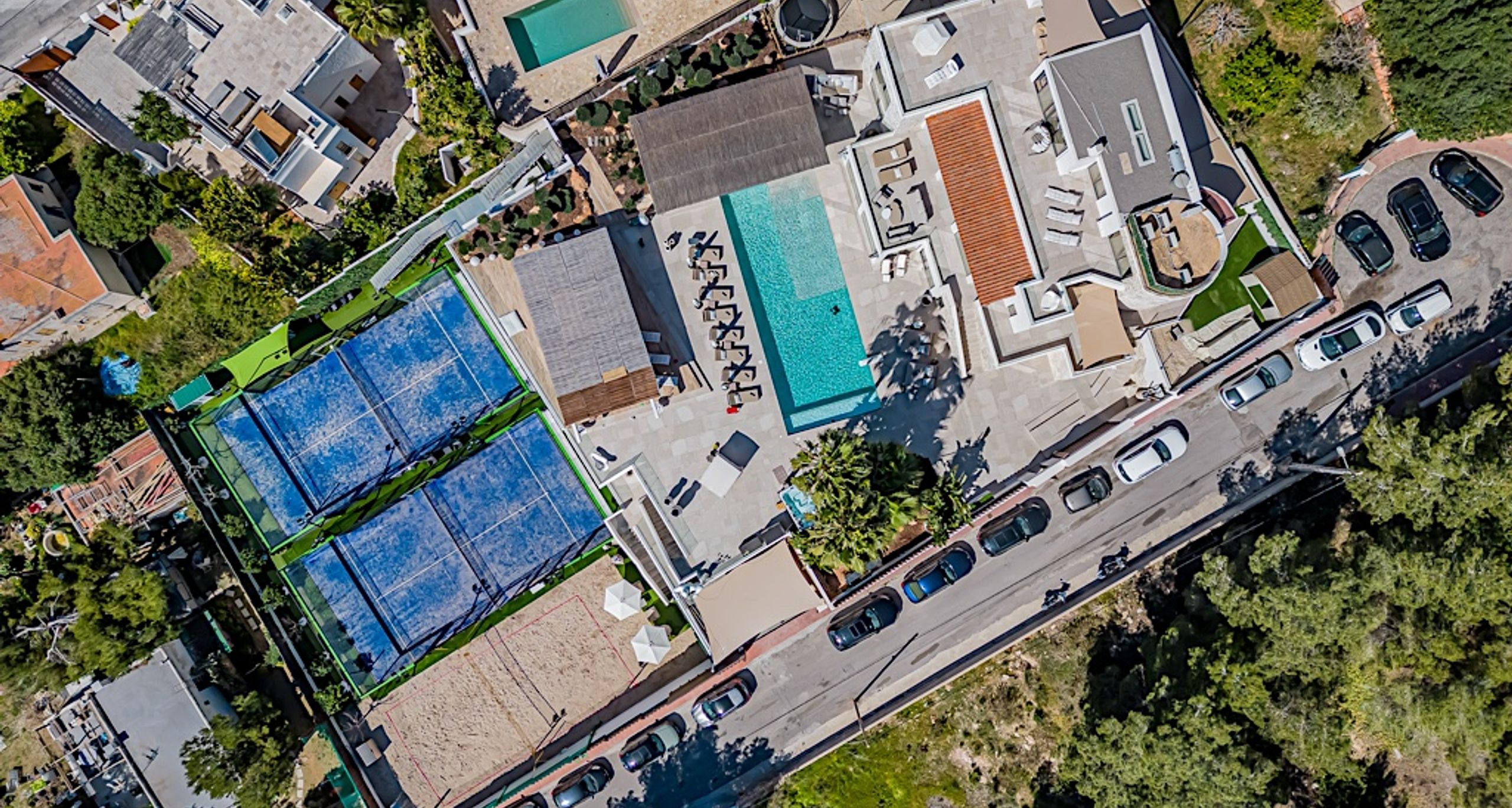 The Jungle Exclusive  - Image 1