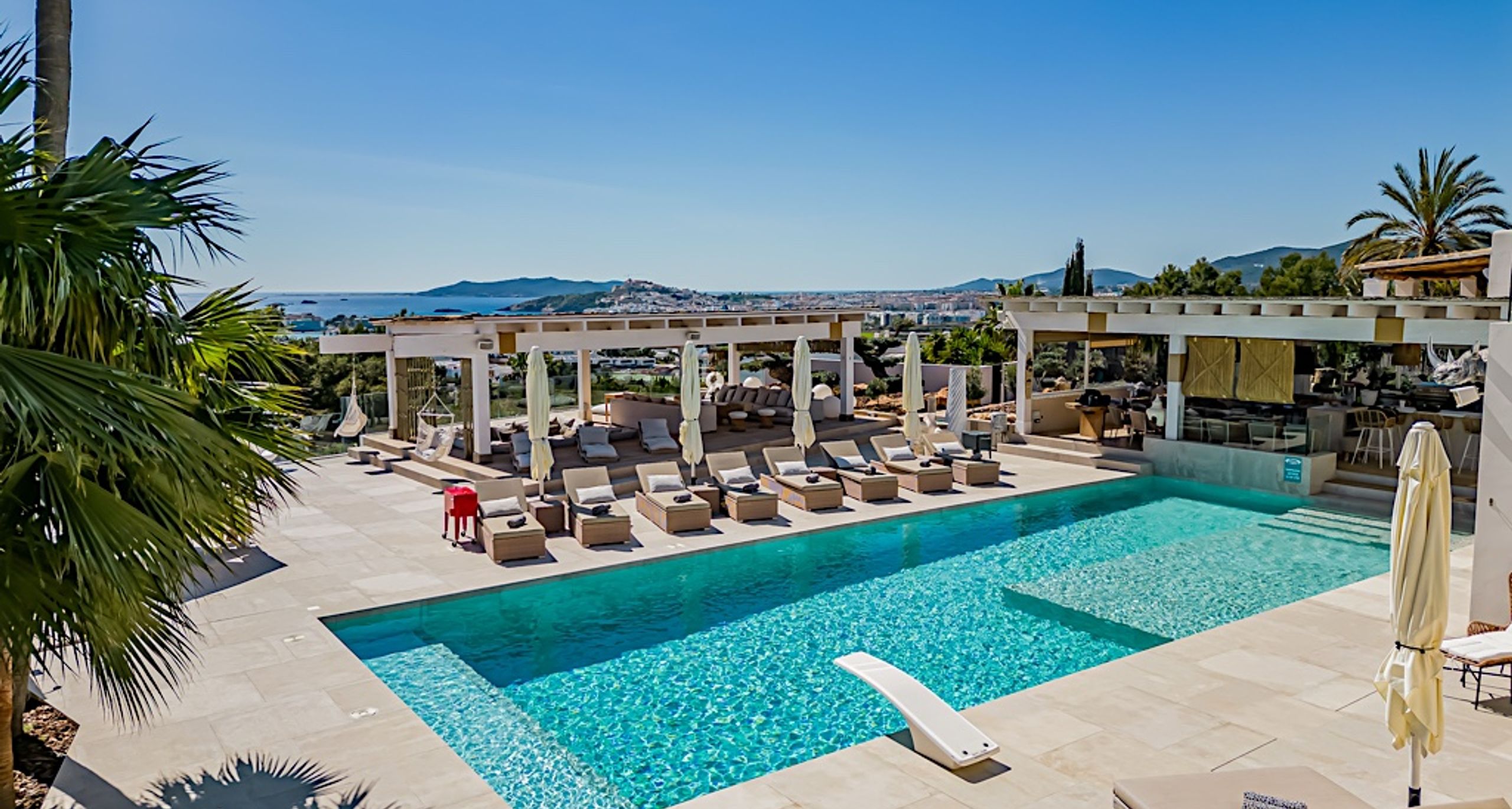 The Jungle Exclusive  - Image 2