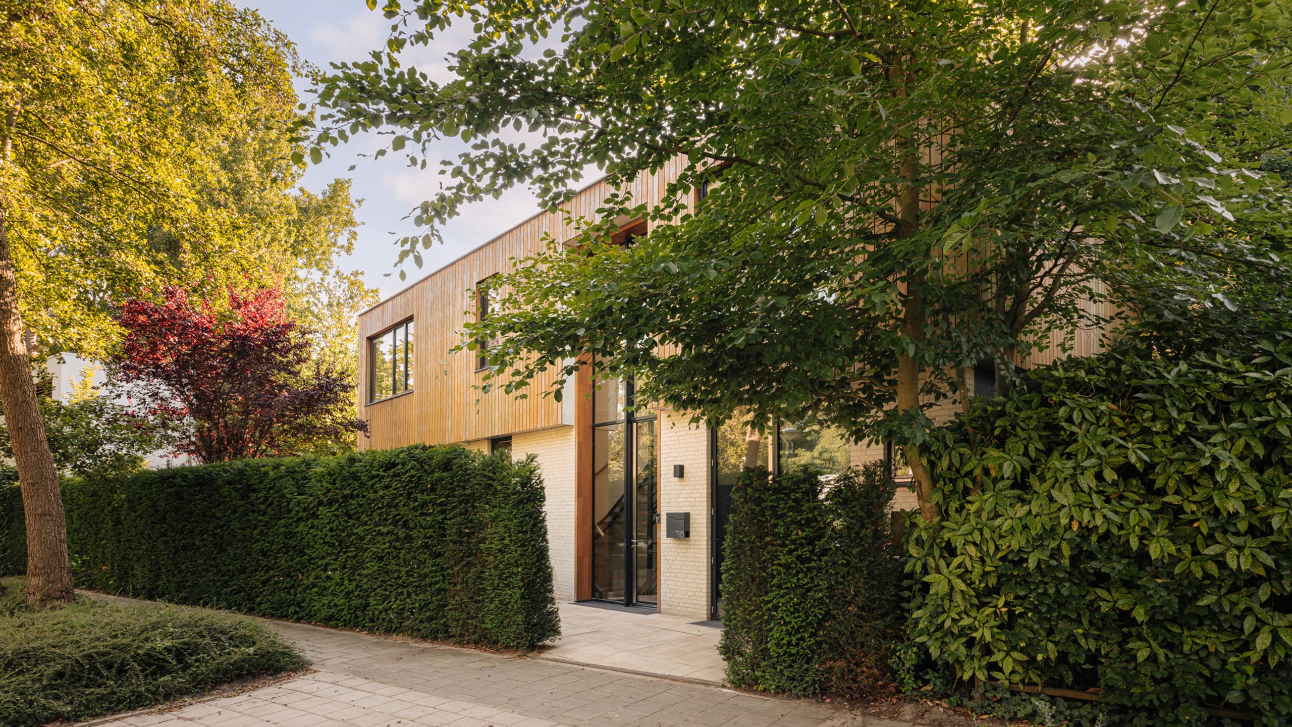 Warmelo 10 — image 4