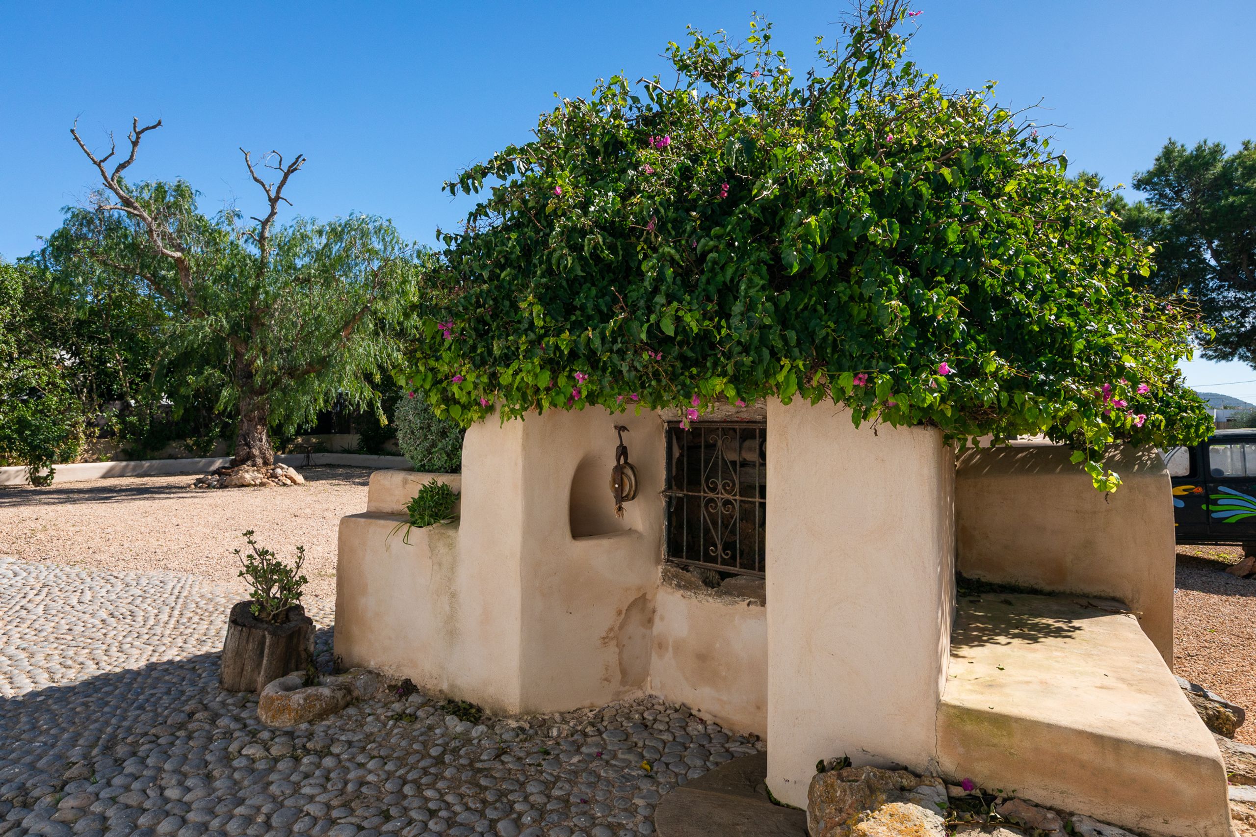 Cas Net  — image 1