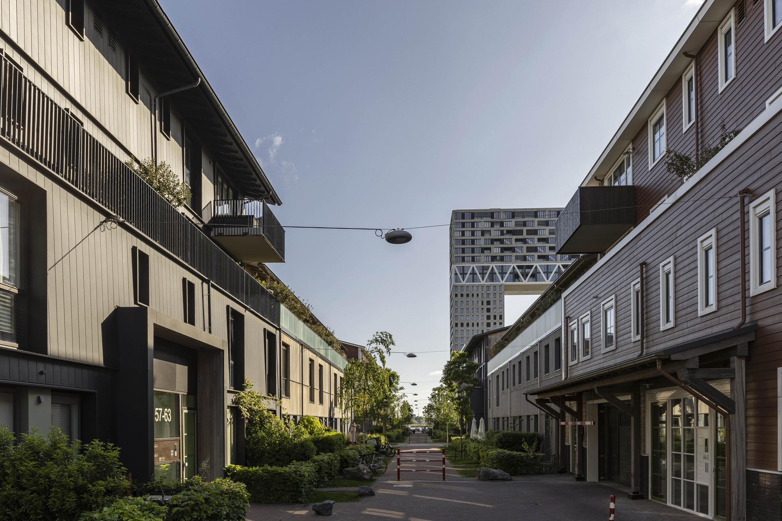 Libau-eiland 29 — image 4