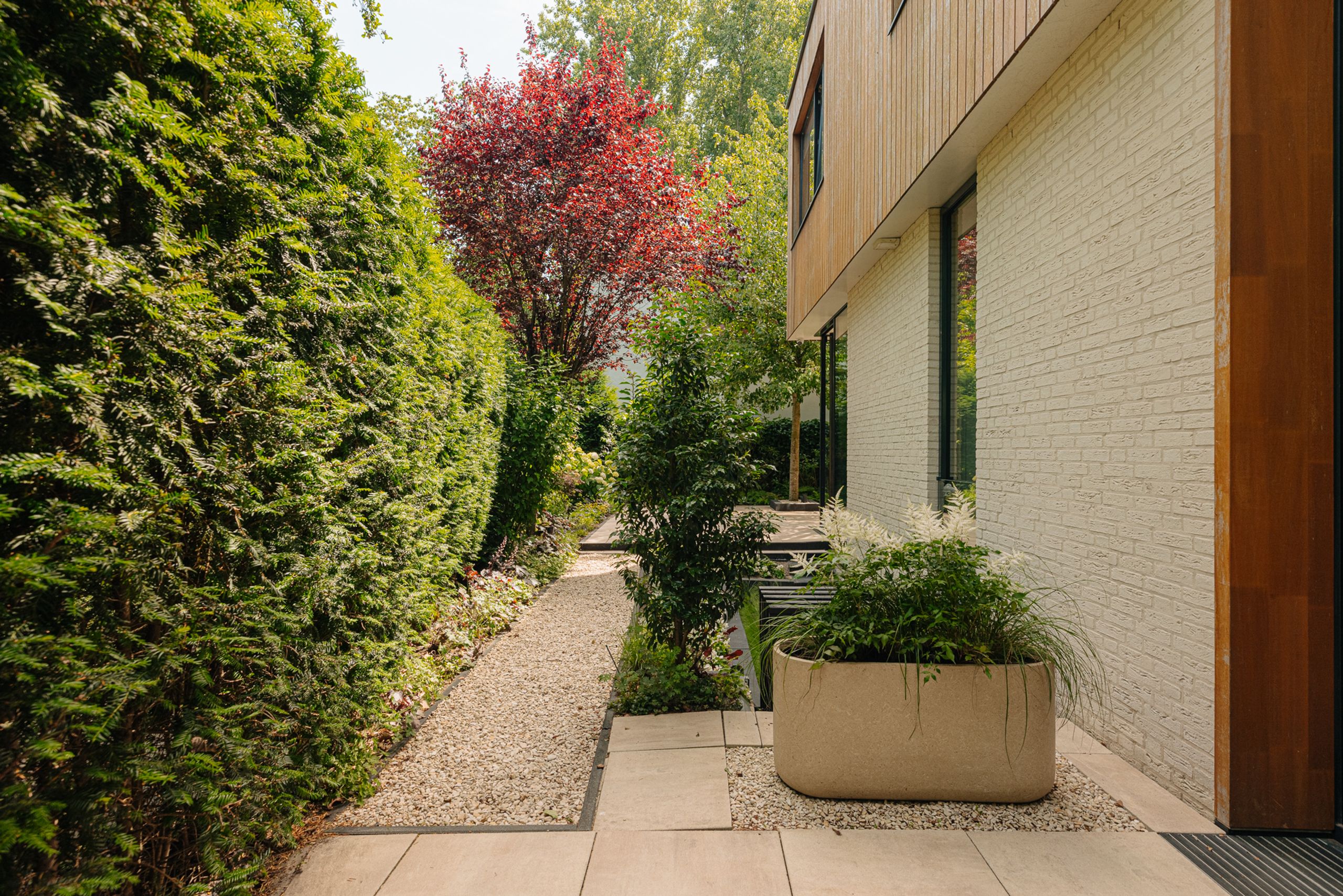 Warmelo 10 — image 5