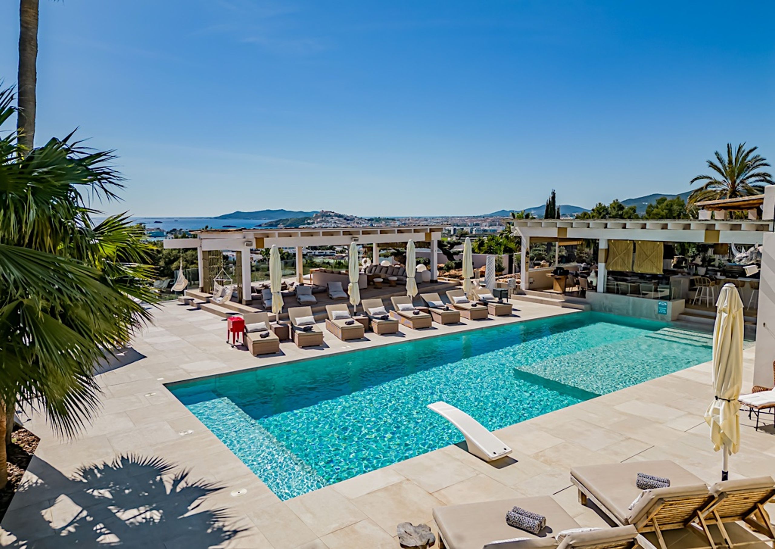 The Jungle Exclusive  — image 1