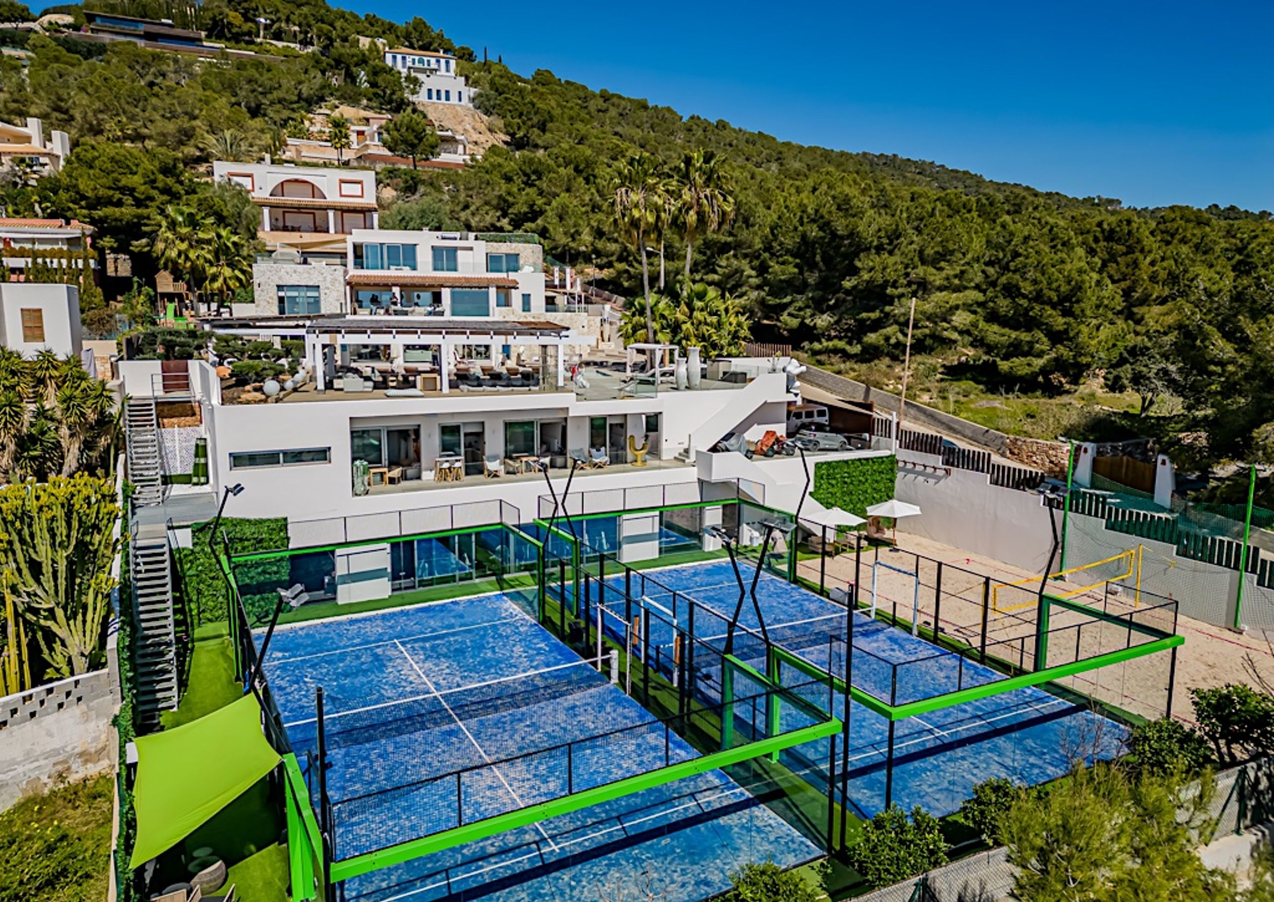 The Jungle Exclusive  — image 2