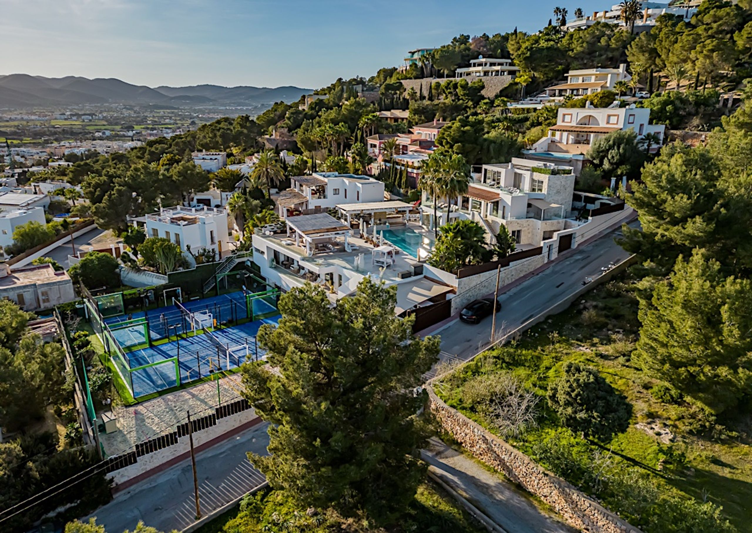 The Jungle Exclusive  — image 3