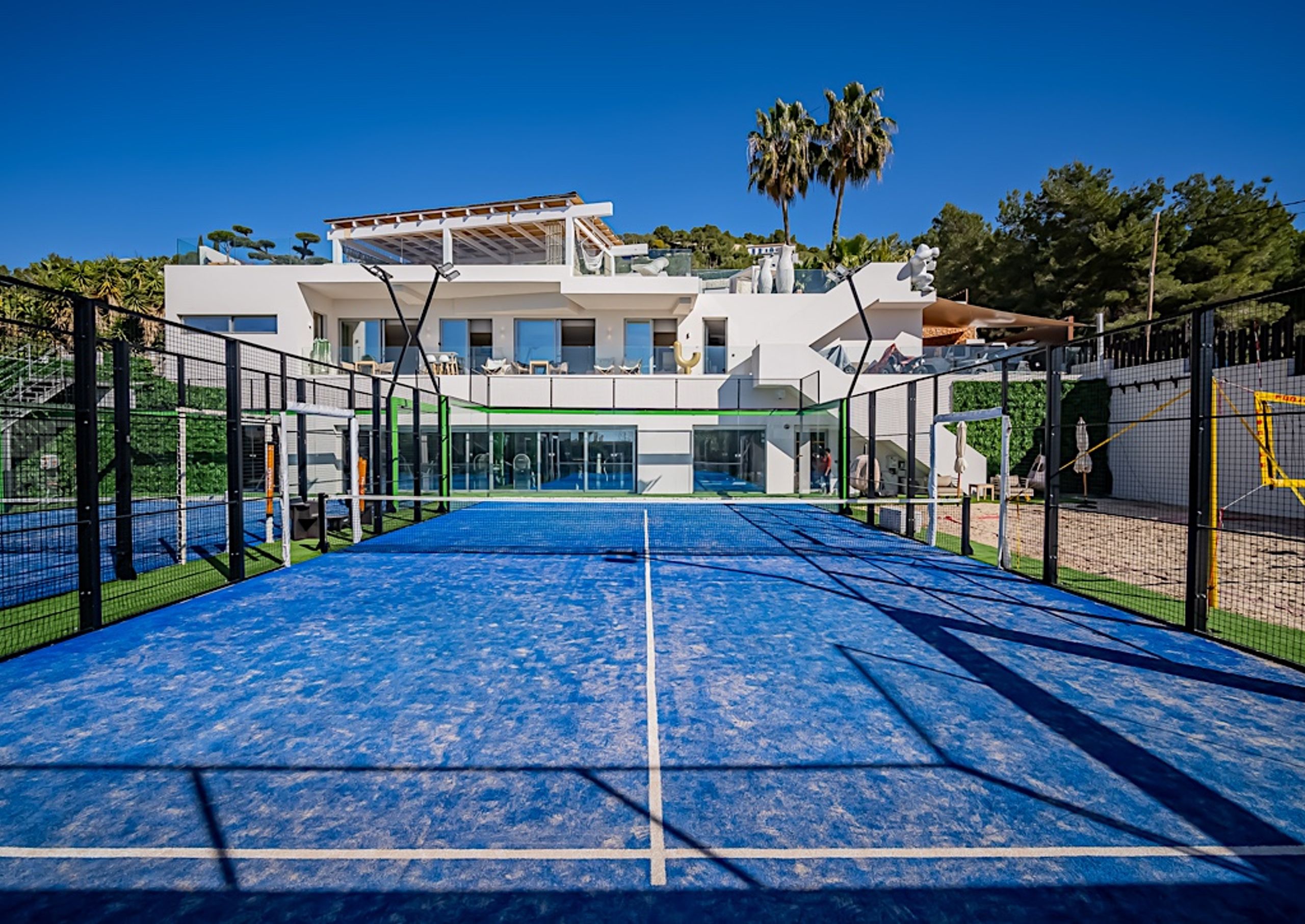 The Jungle Exclusive  — image 5