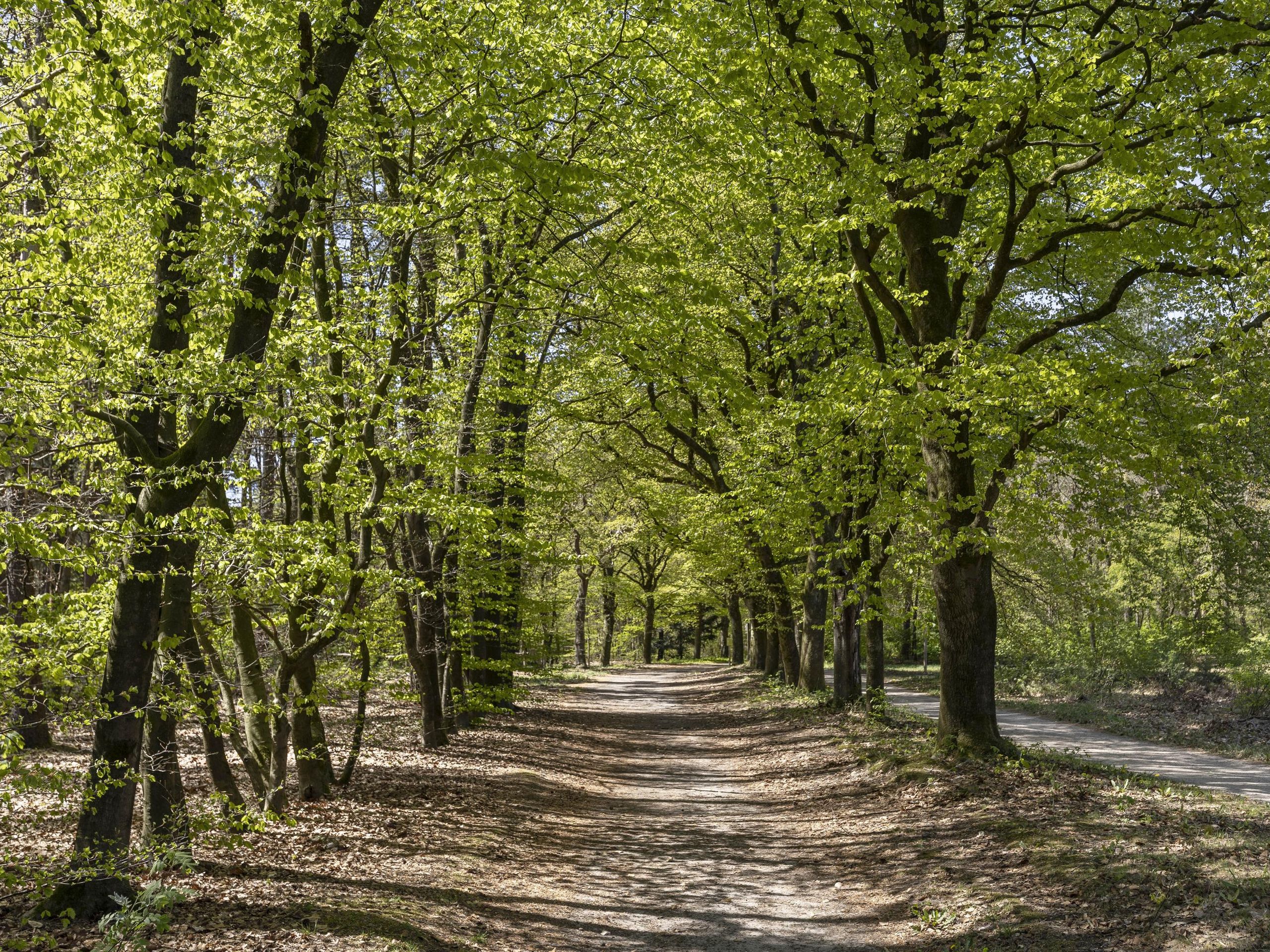 Prinses Maximalaan 28 — 53