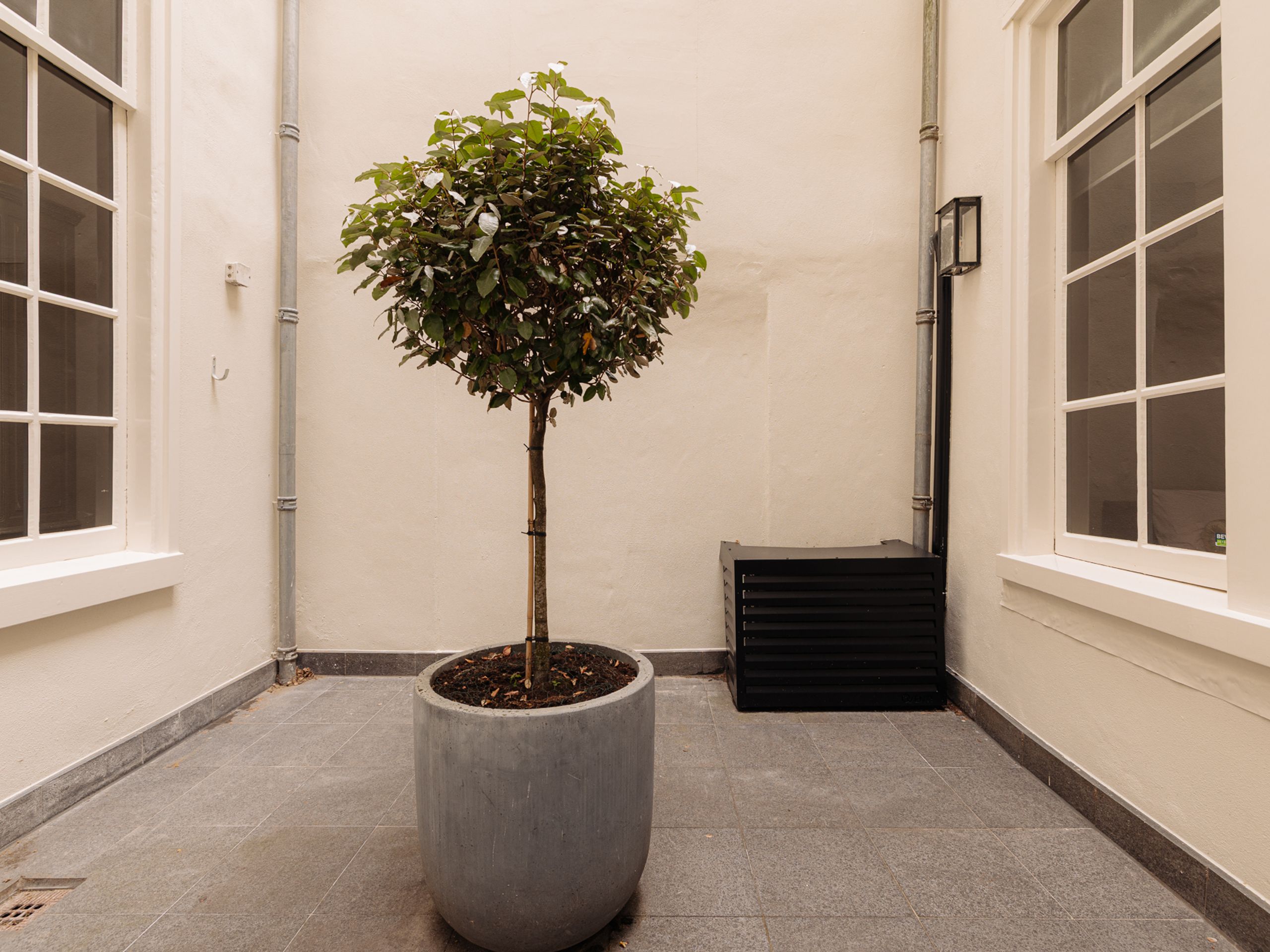 Keizersgracht 223-A — 12