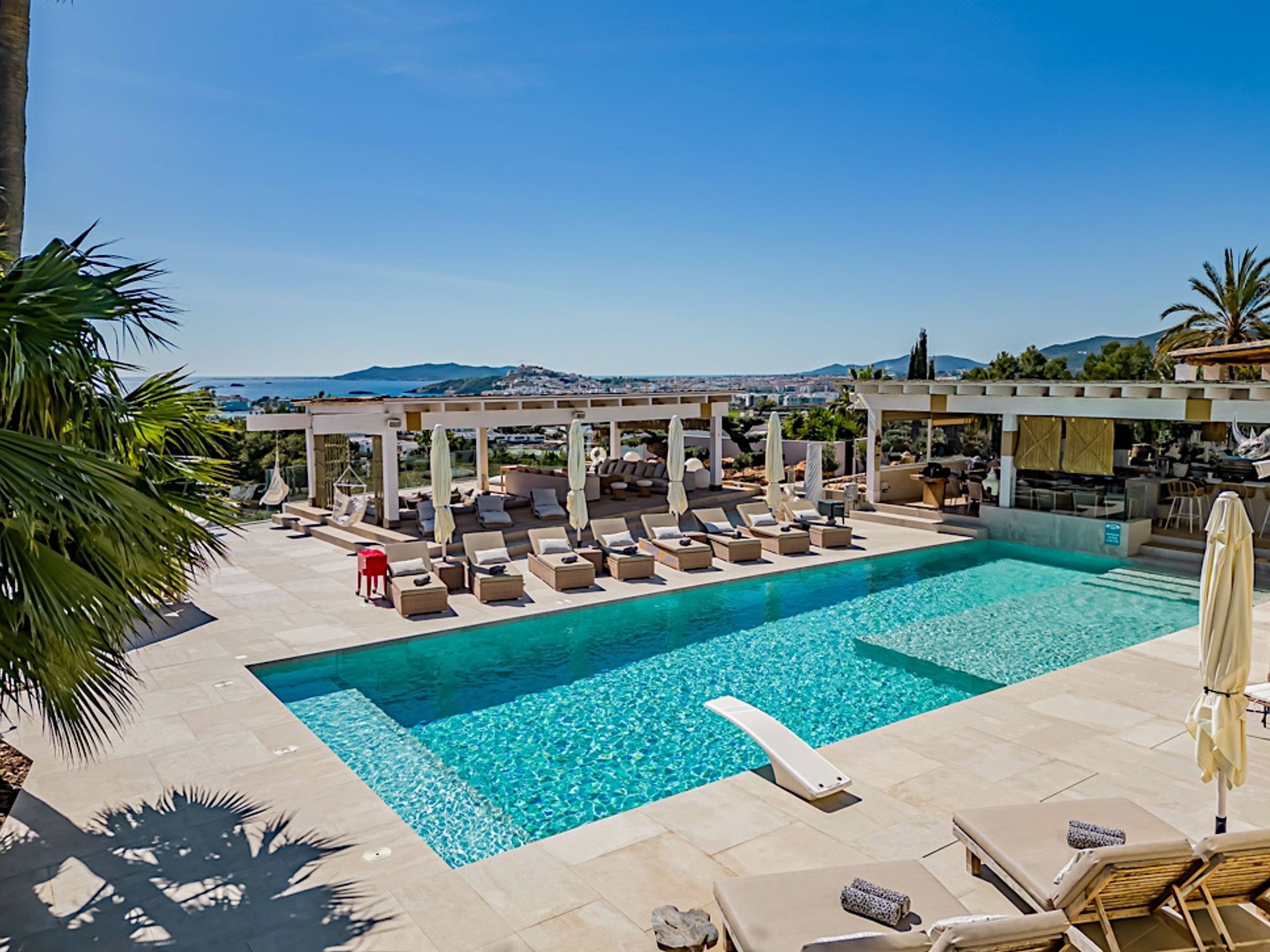 The Jungle Exclusive  — 1