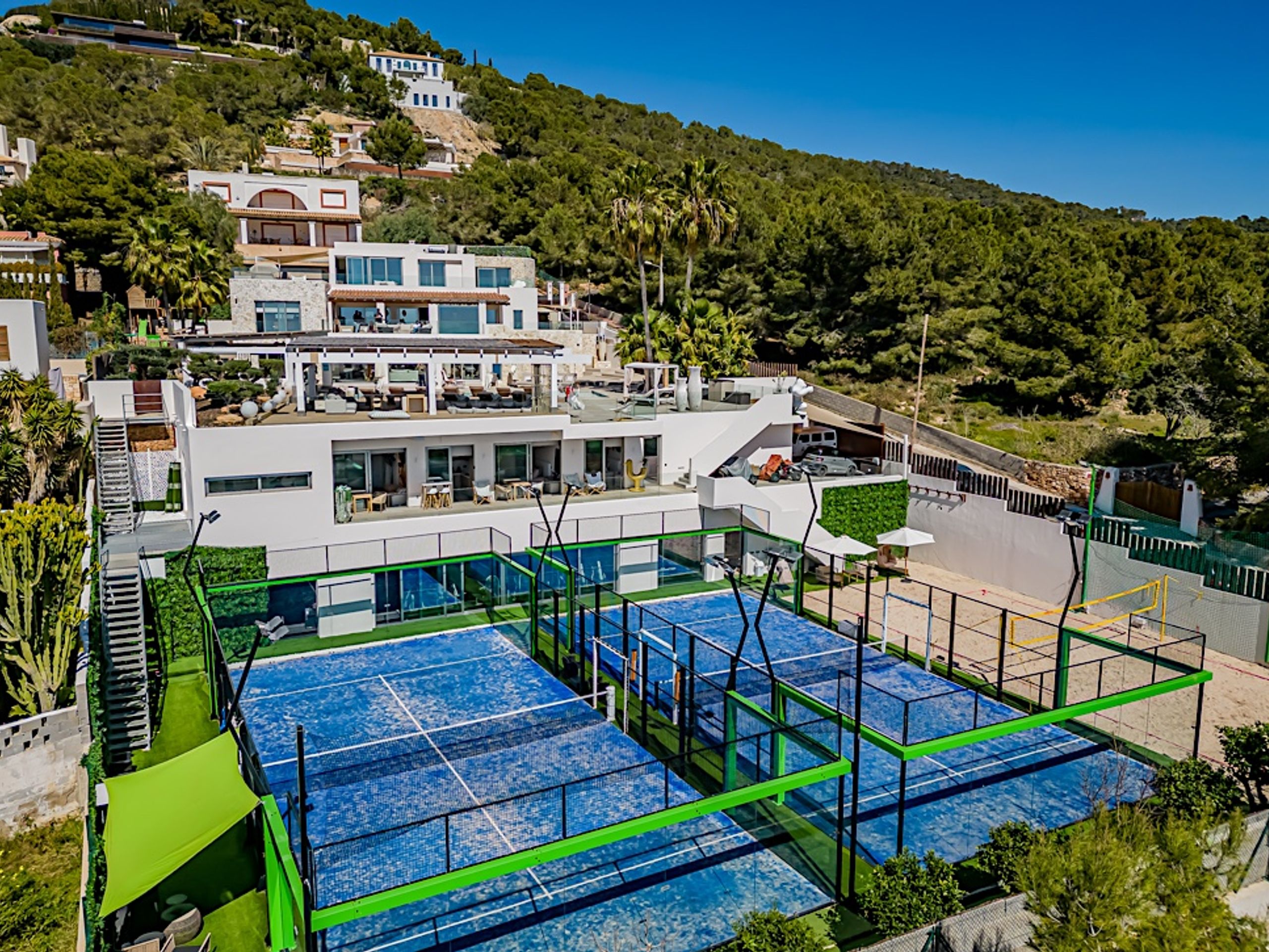 The Jungle Exclusive  — 2