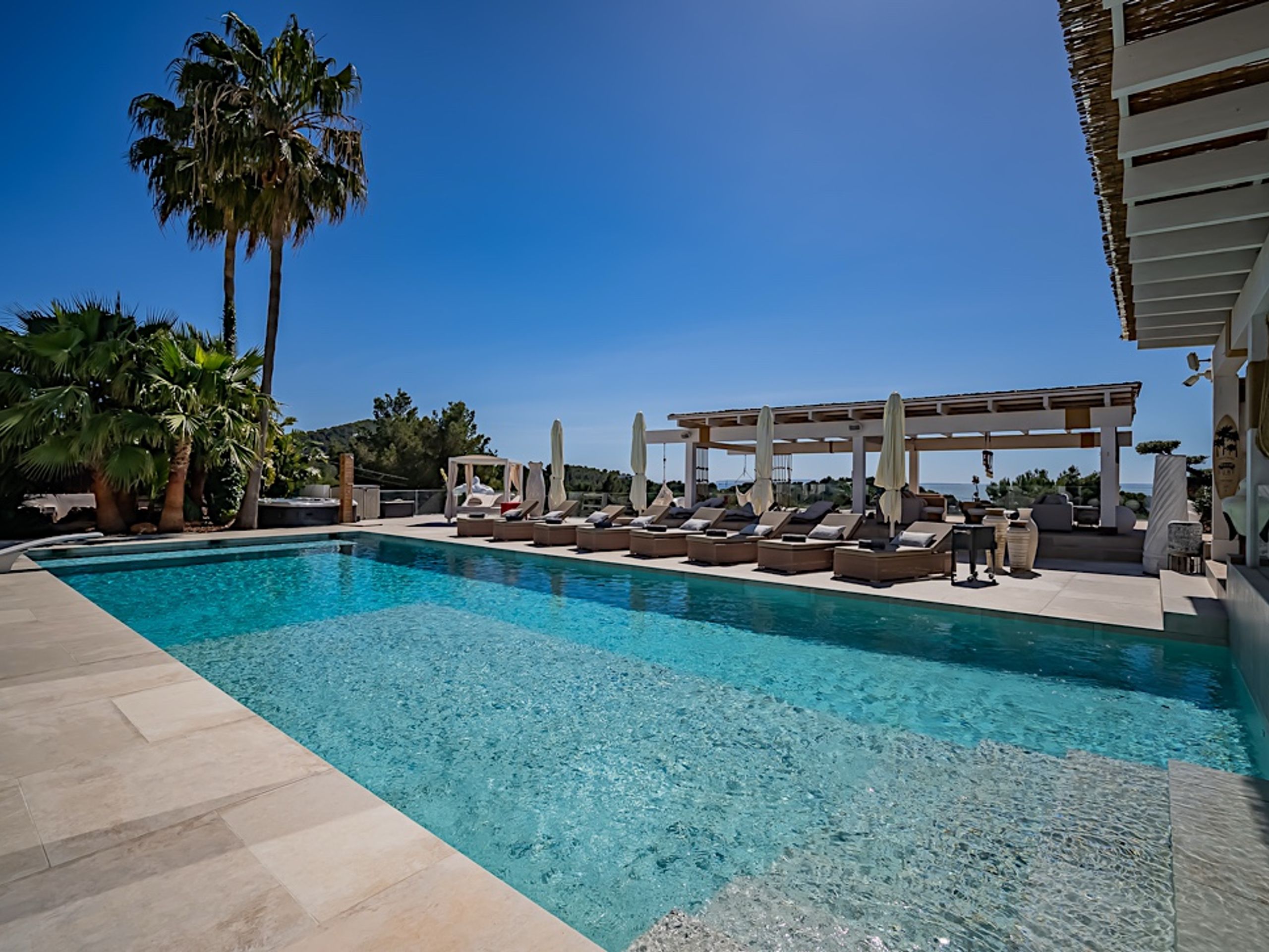 The Jungle Exclusive  — 6