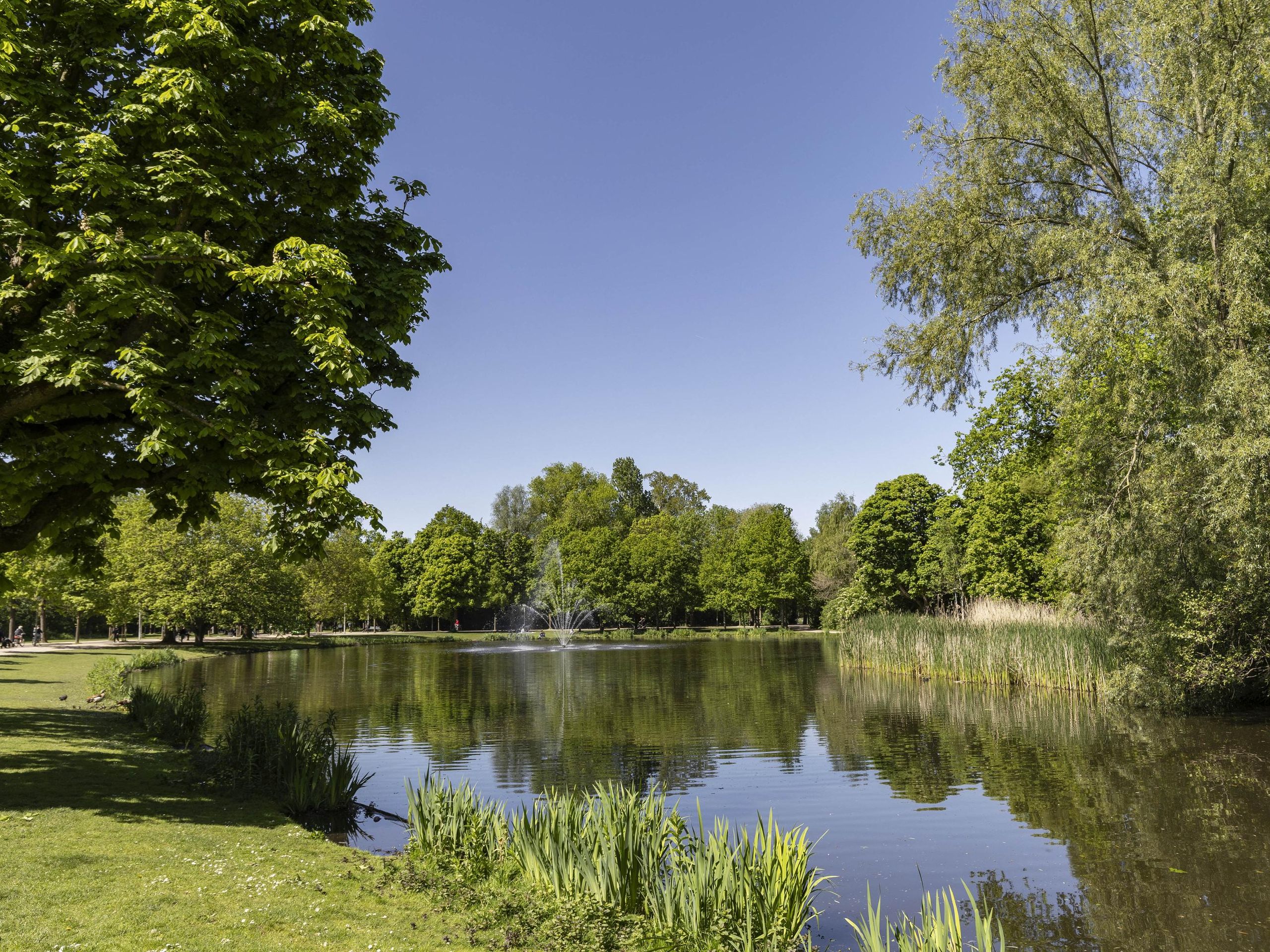 Koninginneweg 117-2 — 48