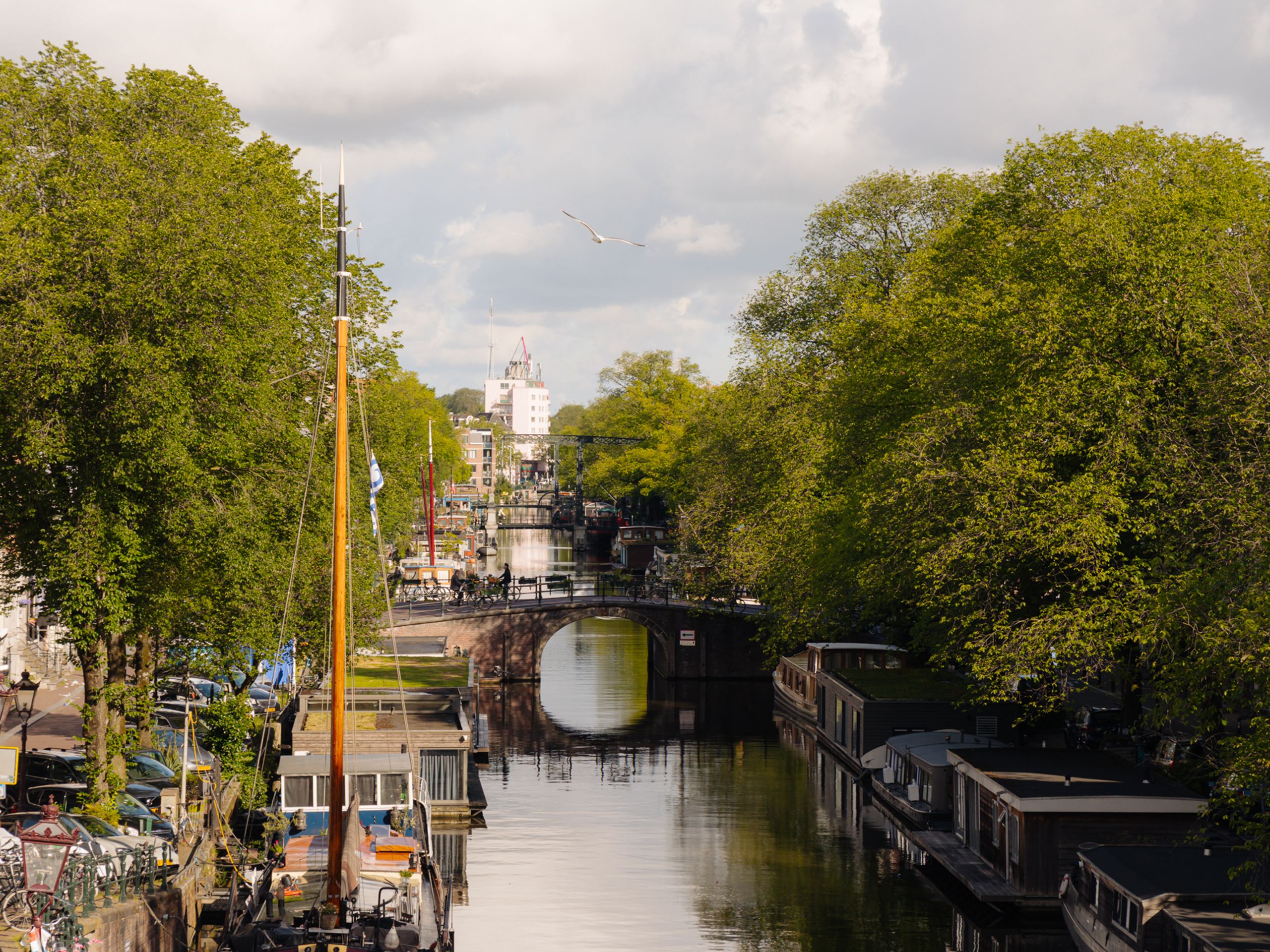 Brouwersgracht 55-C — 8