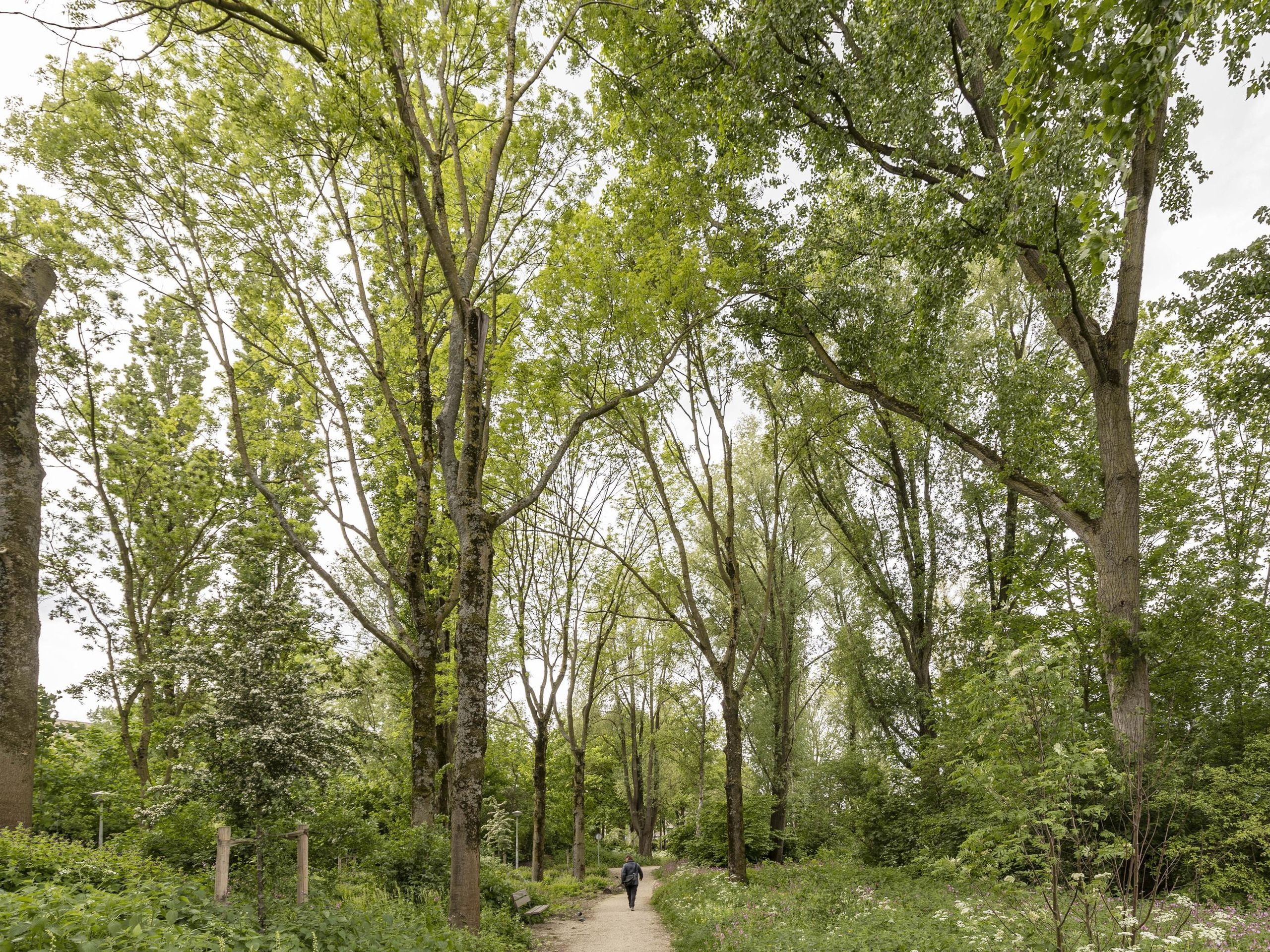 Bramzeilhof 10 — 24