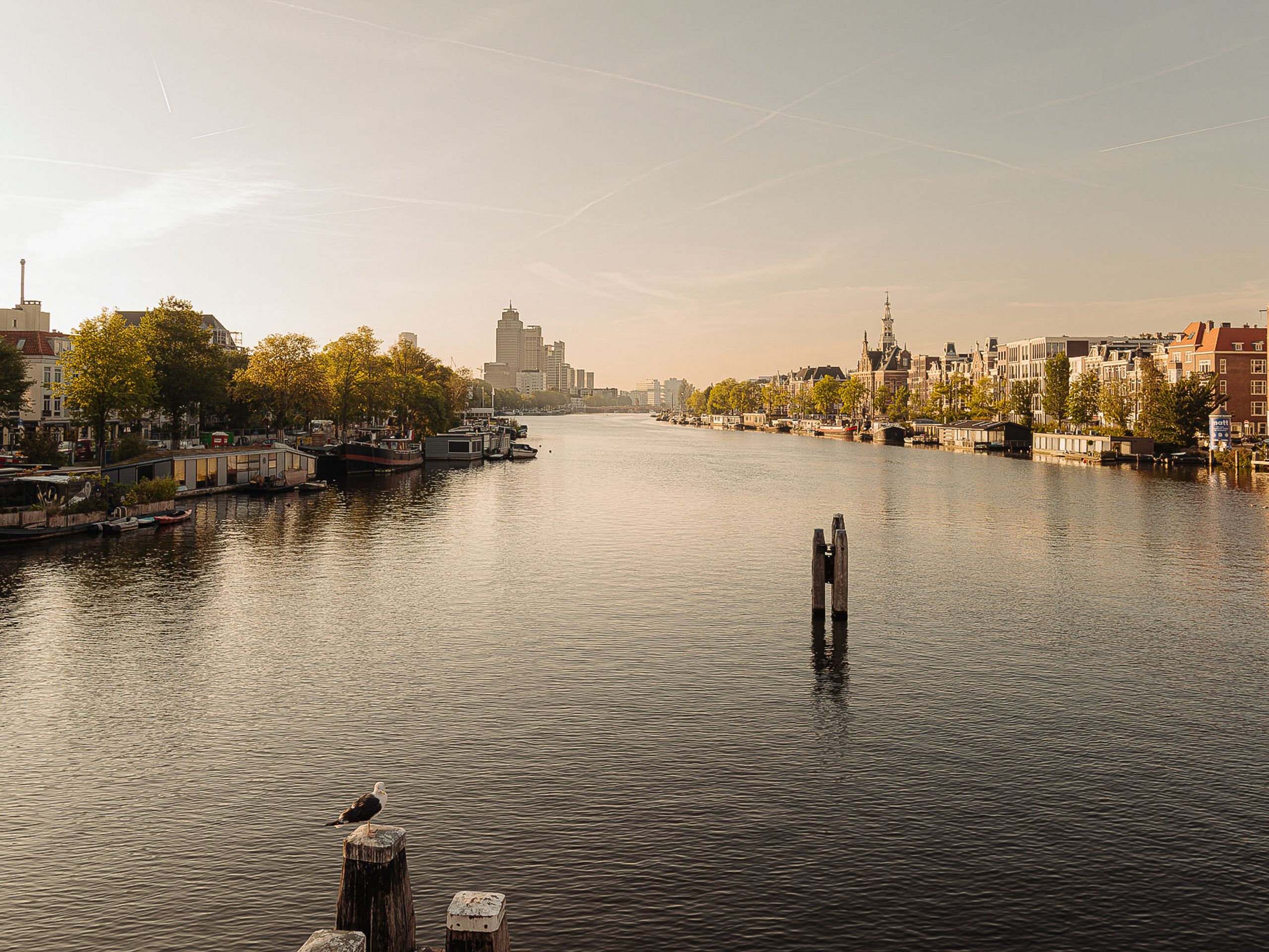 Swammerdamstraat 42 — 35