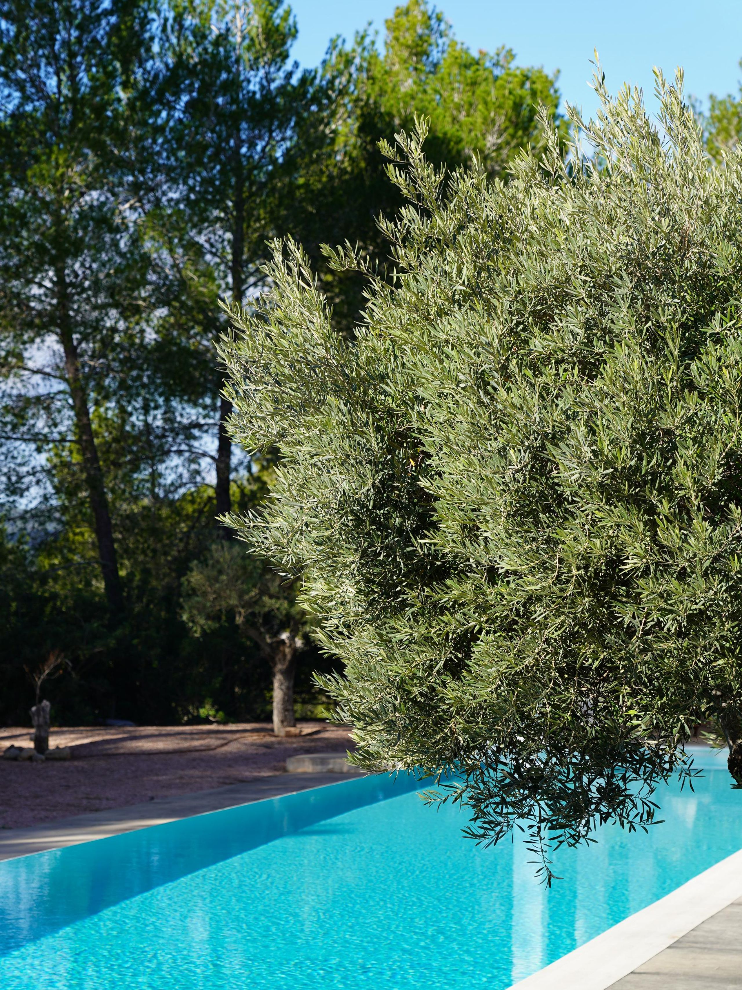 Villa Iris  — image 2